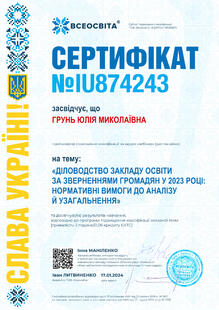 №IU874243