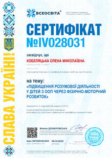 №IV028031