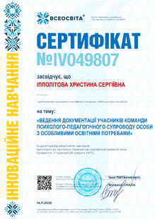 №IV049807
