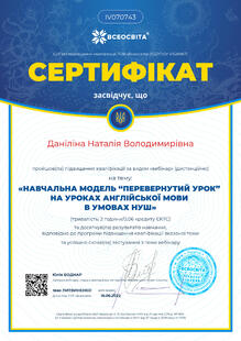№IV070743
