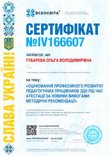 №IV166607