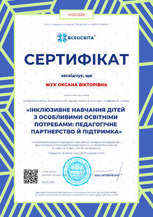 №IV202539