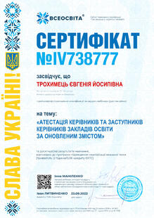 №IV738777