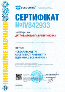 №IV842933