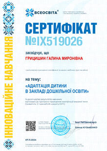 №IX519026