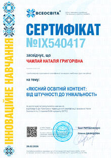 №IX540417