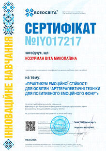№IY017217