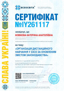№IY261117