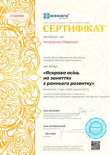 №IY538988
