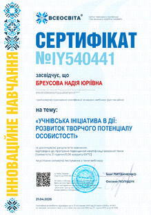 №IY540441