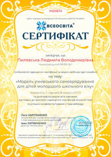 №IY609874