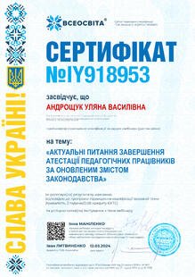 №IY918953