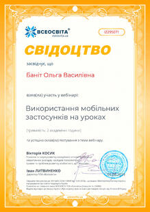 №IZ295071