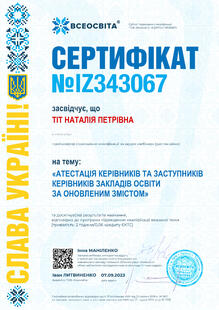 №IZ343067