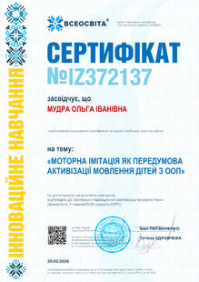 №IZ372137