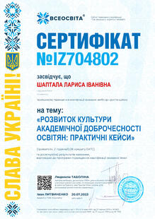 №IZ704802
