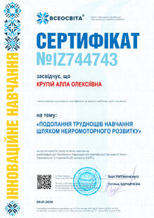№IZ744743