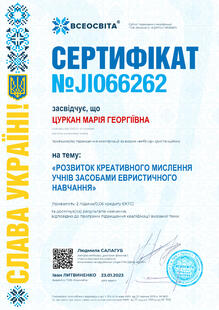 №JI066262