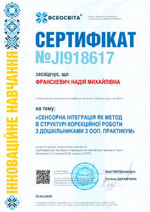 №JI918617