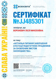 №JJ485301