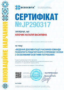 №JP290317