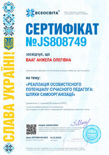 №JS808749