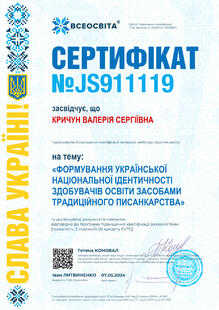 №JS911119