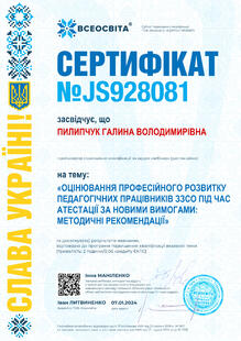 №JS928081
