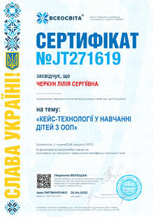 №JT271619