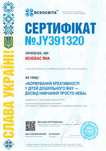 №JY391320