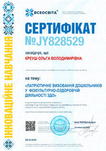 №JY828529