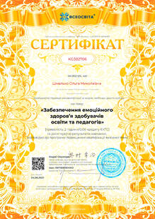 №KG382706