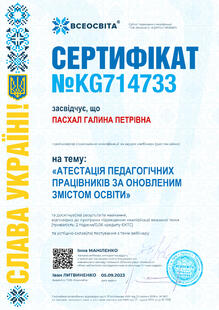 №KG714733