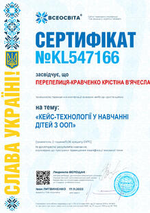 №KL547166