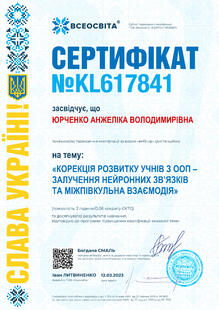 №KL617841