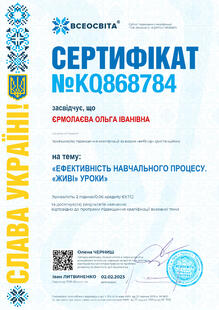 №KQ868784