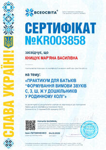 №KR003858