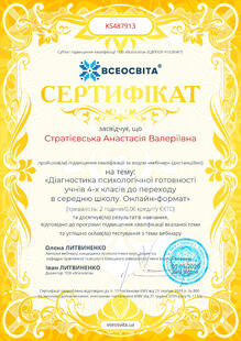 №KS487913