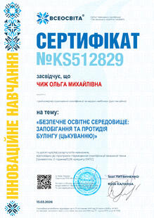 №KS512829