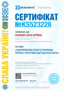№KS523228