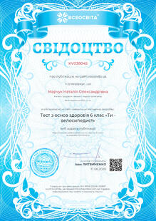 №KV038045