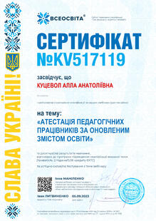 №KV517119