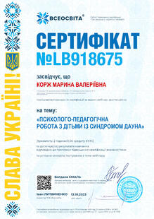 №LB918675