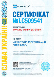 №LC509541