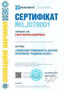 №LJ078001