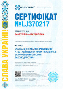 №LJ370217