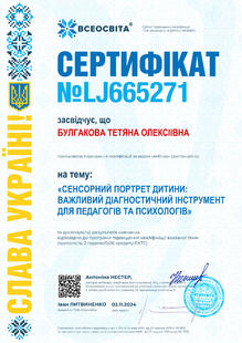 №LJ665271