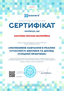№LK517571