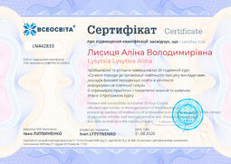 Сторона №1
