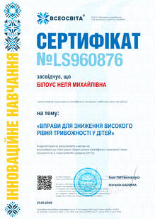 №LS960876